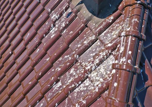 Dependable Roof Installation by Houston’s Top Contractors
