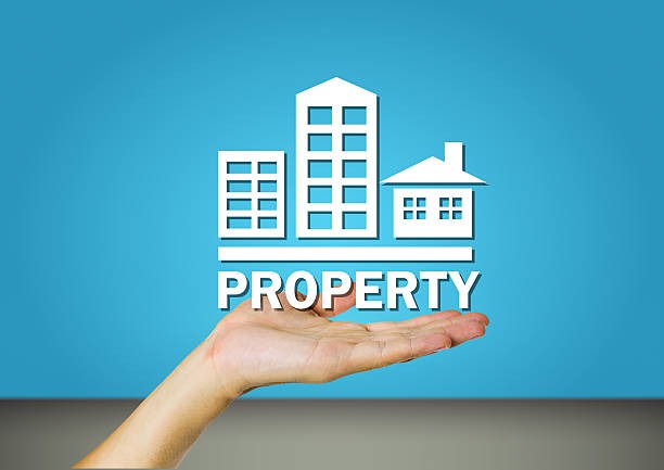 What Real Estate Agents Really Do Explained Simply