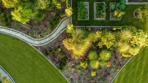 Simple Landscaping Ideas to Upgrade Your Backyard